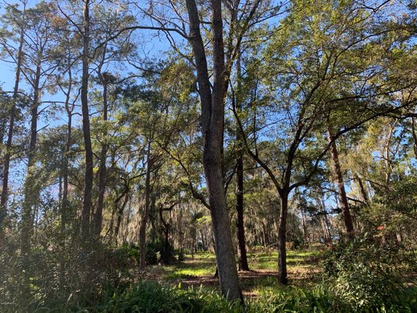 901 Creighton Rd, Orange Park, FL 32003